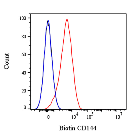 Biotin Mouse Anti-Human CD144 Antibody (S-3026)