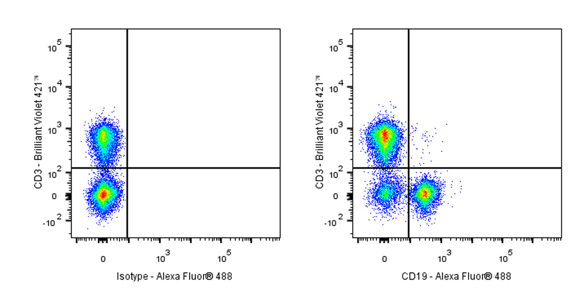 Alexa Fluor® 488 Rat Anti-Mouse CD19 Antibody (1D3)