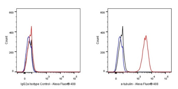 Invivo mouse IgG2a isotype control