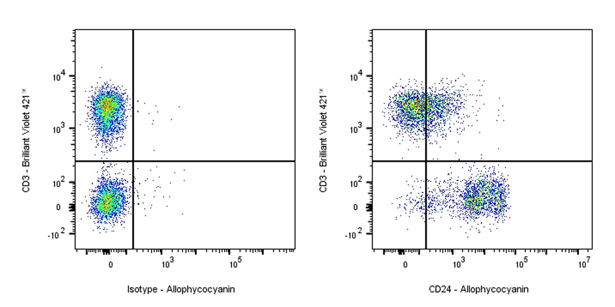 APC Rat Anti-Mouse CD24 Antibody (M1/69)