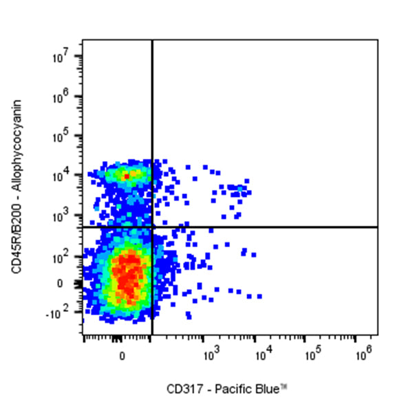 Pacific Blue Rat Anti-Mouse CD317 Antibody (927)