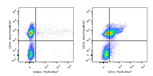 Pacific Blue Rat Anti-Mouse CD1d Antibody (1B1)