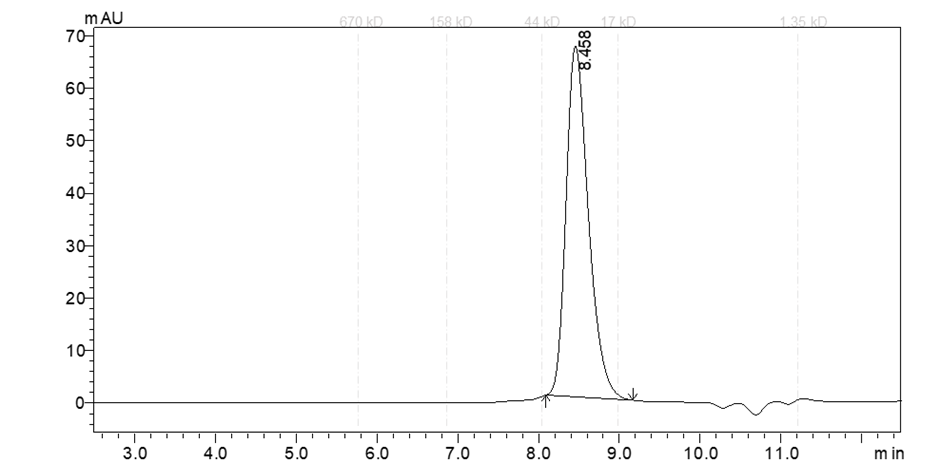 GAK Protein