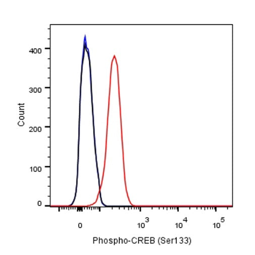 CREB Recombinant Rabbit mAb (S-747-60)