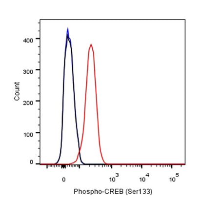 CREB Recombinant Rabbit mAb (S-747-60)