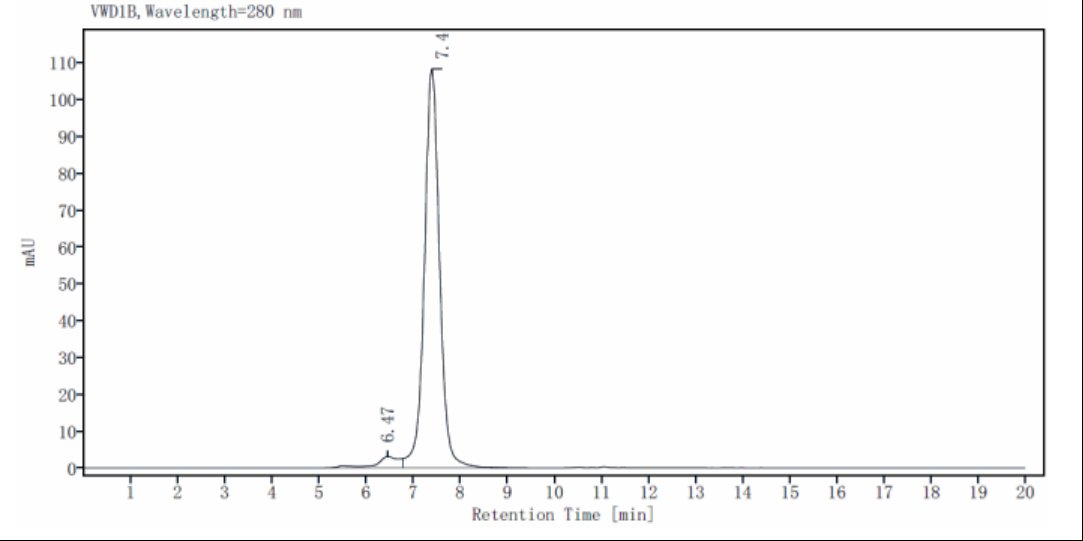 CD19 Fc Chimera Protein, Human