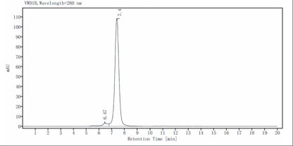 CD19 Fc Chimera Protein, Human