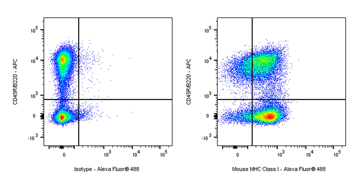 Mouse Anti-Mouse MHC Class I Antibody (Y-3)