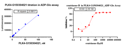 PLK4 GST&Flag Tag Protein, Human