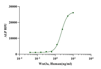 Wnt-3a Protein, Human