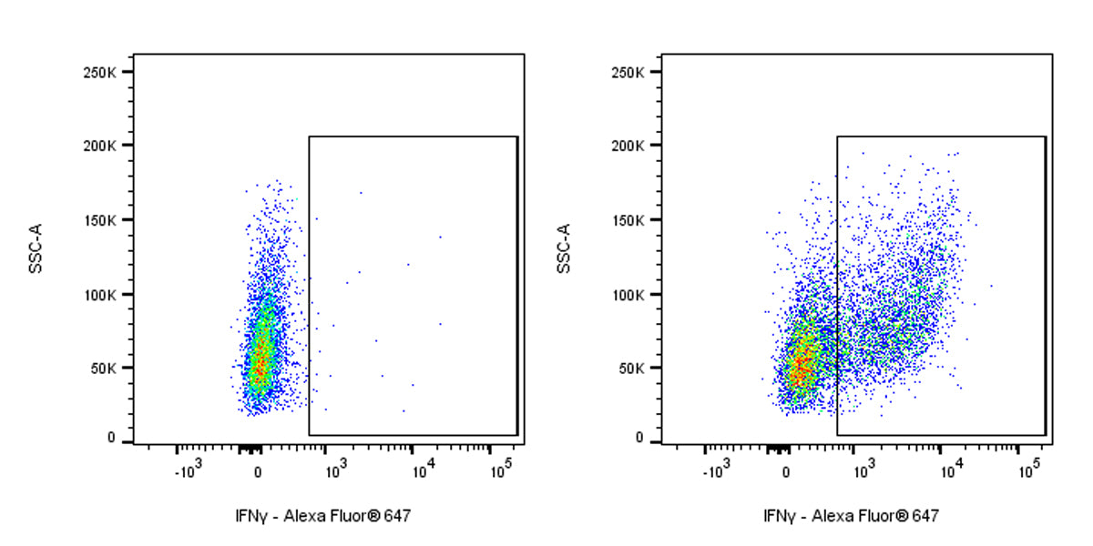 Rat Anti-Mouse IFNγ Antibody (XMG1.2)