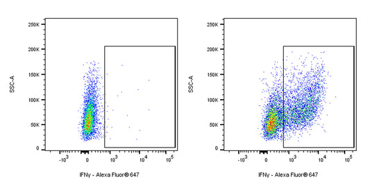 Rat Anti-Mouse IFNγ Antibody (XMG1.2)