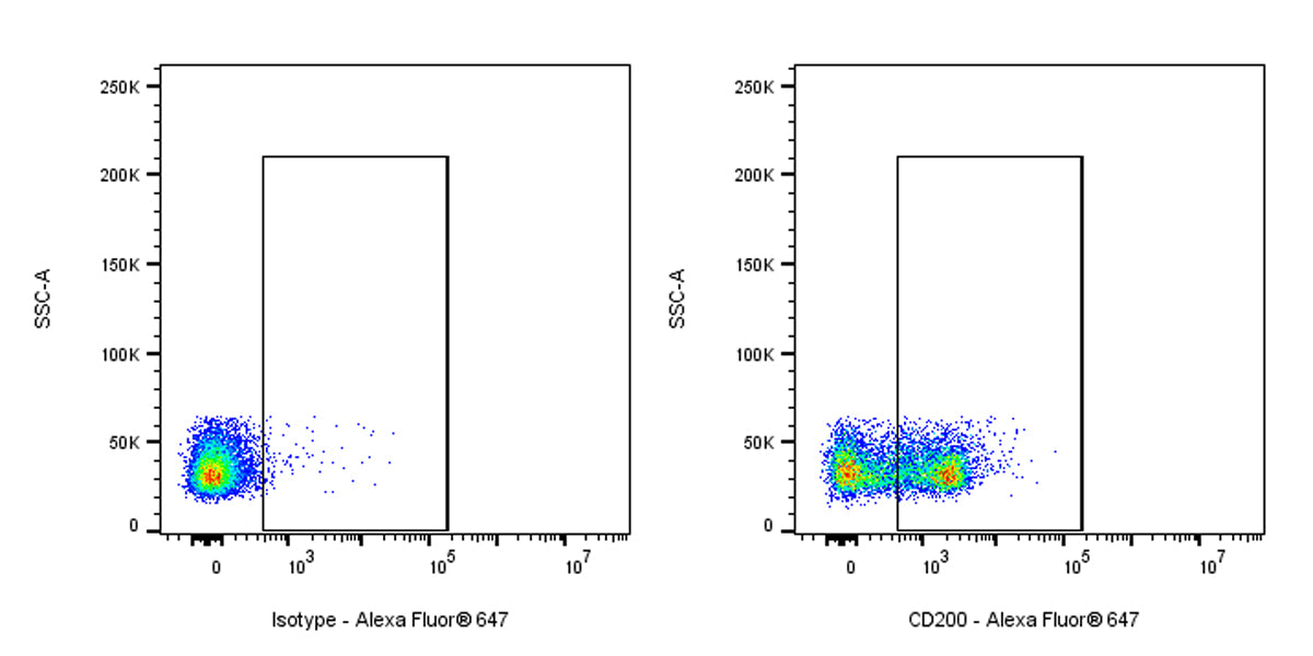 Invivo Anti-Mouse CD200 (OX2) Recombinant mAb