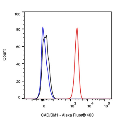 CAD/BM1 Recombinant Rabbit mAb (S-1650-21)