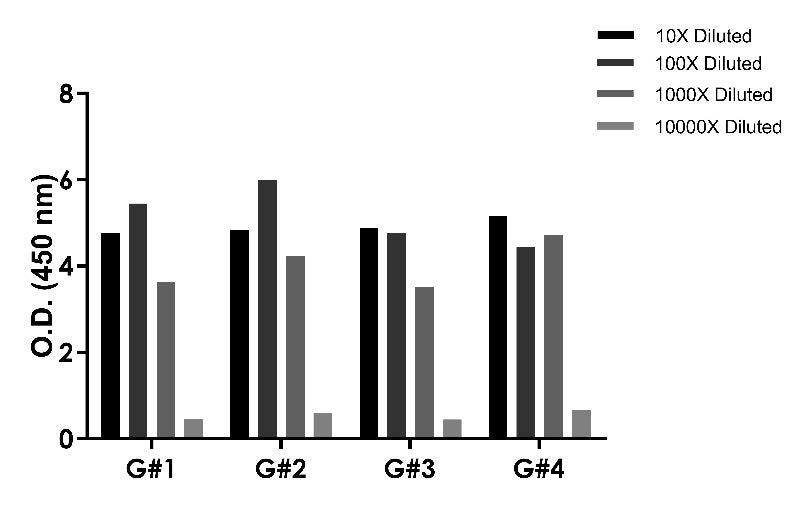 Protein A OneStep ELISA Kit