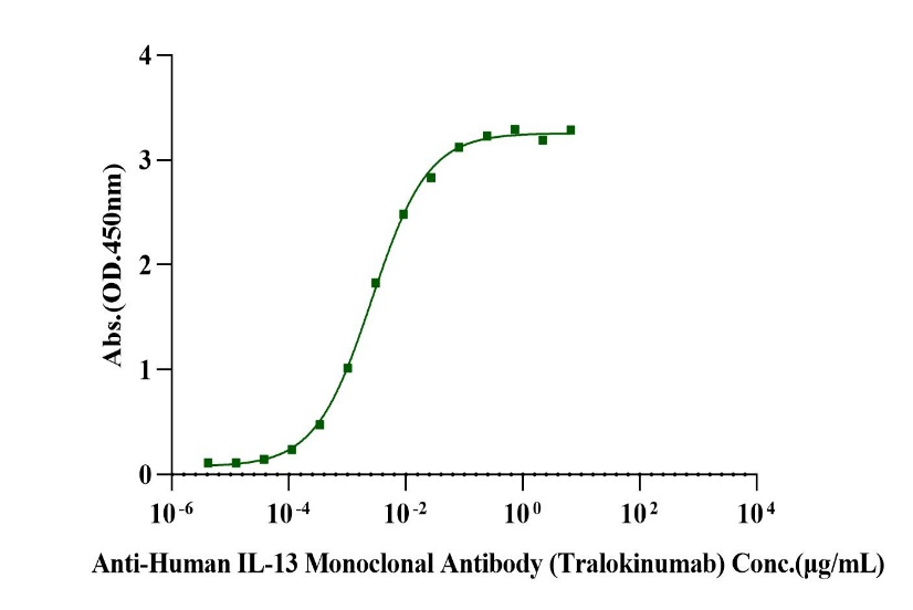 IL-13 His Tag Protein, Human