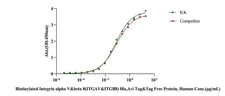 Biotinylated Integrin alpha V&beta 8(ITGAV&ITGB8) His,Avi Tag&Tag Free Protein, Human