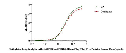 Biotinylated Integrin alpha V&beta 8(ITGAV&ITGB8) His,Avi Tag&Tag Free Protein, Human