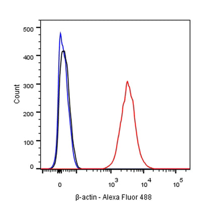 β-actin Recombinant Rabbit mAb (SDT-R156)