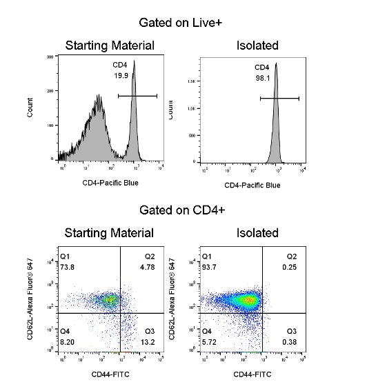 Mouse Naïve CD4 T Cell Isolation Kit (Column-Based)