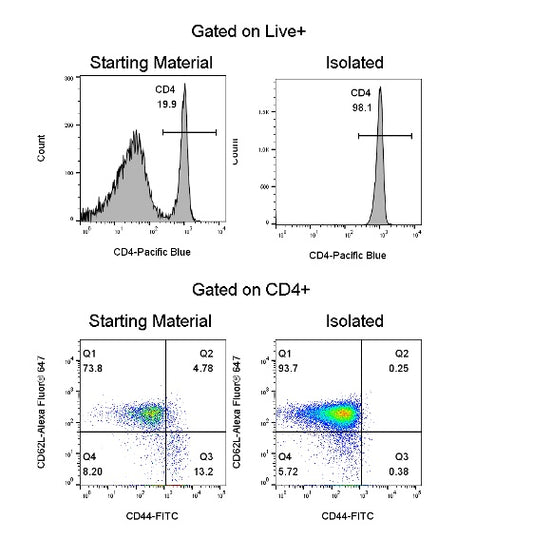 Mouse Naïve CD4 T Cell Isolation Kit (Column-Based)