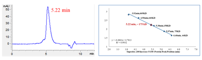 CDK9 Protein