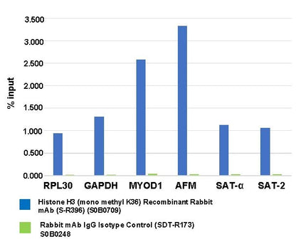 Histone H3 (mono methyl K36) Recombinant Rabbit mAb (S-R396)