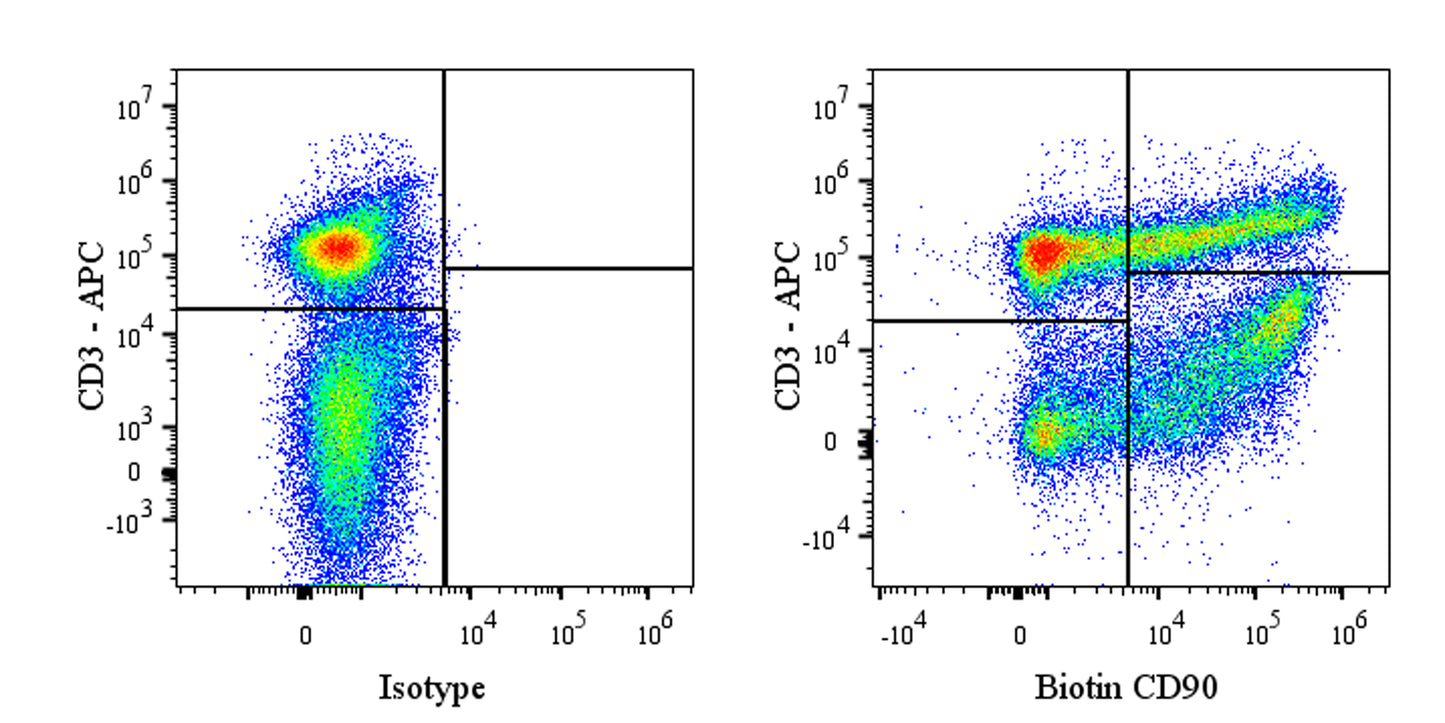 Biotin Mouse Anti-Rat CD90 Antibody (S-R687)