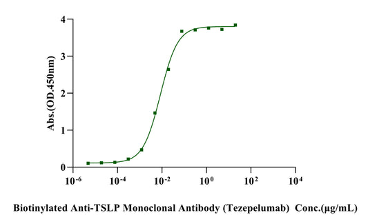 Anti-TSLP Monoclonal Antibody (Tezepelumab)