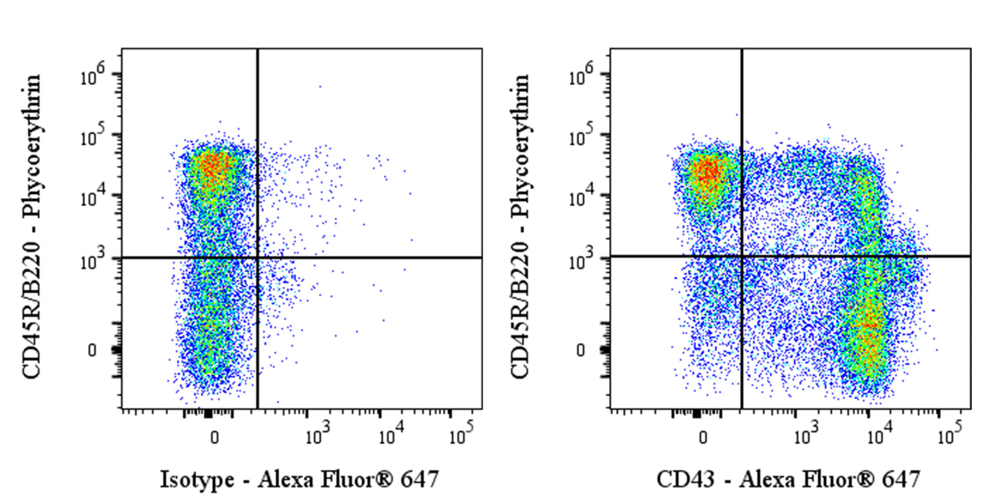 Alexa Fluor® 647 Mouse Anti-Rat CD43 Antibody (W3/13)
