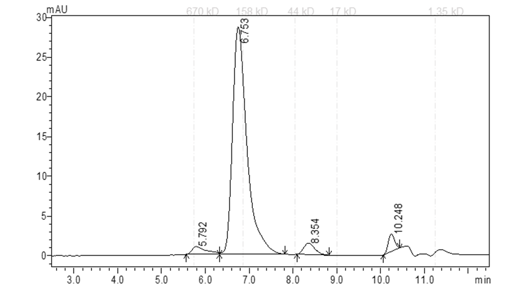 EPHB4 Protein