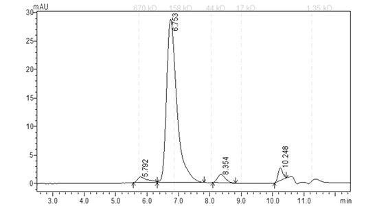 EPHB4 Protein