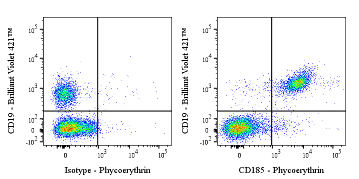 PE Rat Anti-Mouse CD185 Antibody (S-R600)