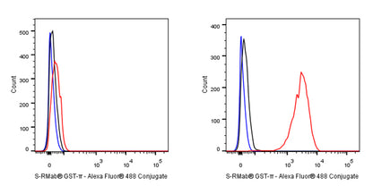 S-RMab® GST-π Recombinant Rabbit mAb (SDT-561-78)