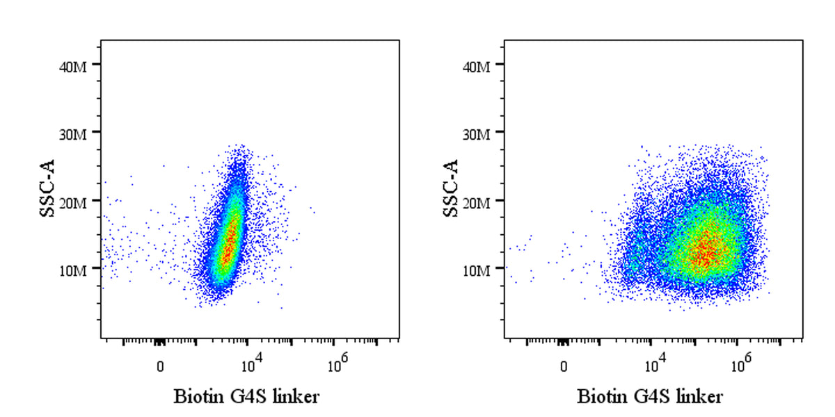 G4S linker Recombinant Rabbit mAb (Biotin Conjugate) (S-5030)