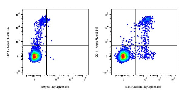 Rabbit Anti-Human ILT4 (CD85d) Antibody (S-281-50)