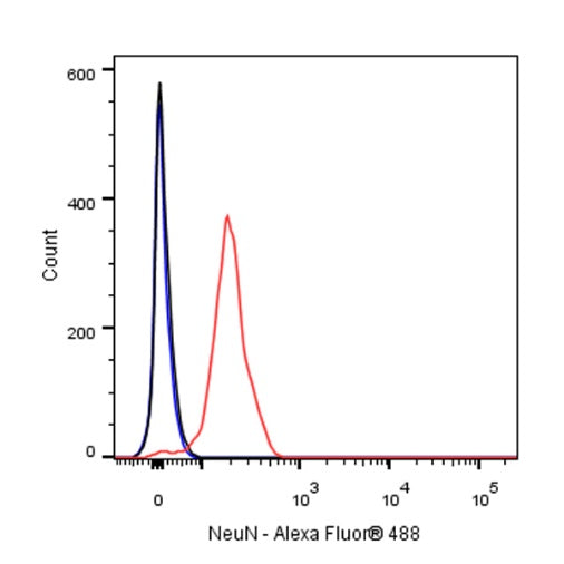 NeuN Recombinant Rabbit mAb (S-392-1)