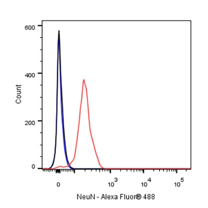 NeuN Recombinant Rabbit mAb (S-392-1)