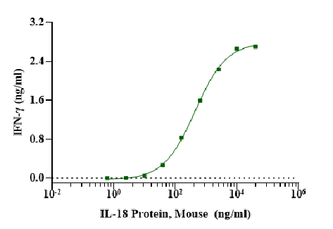 IL-18 Protein, Mouse