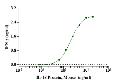 IL-18 Protein, Mouse