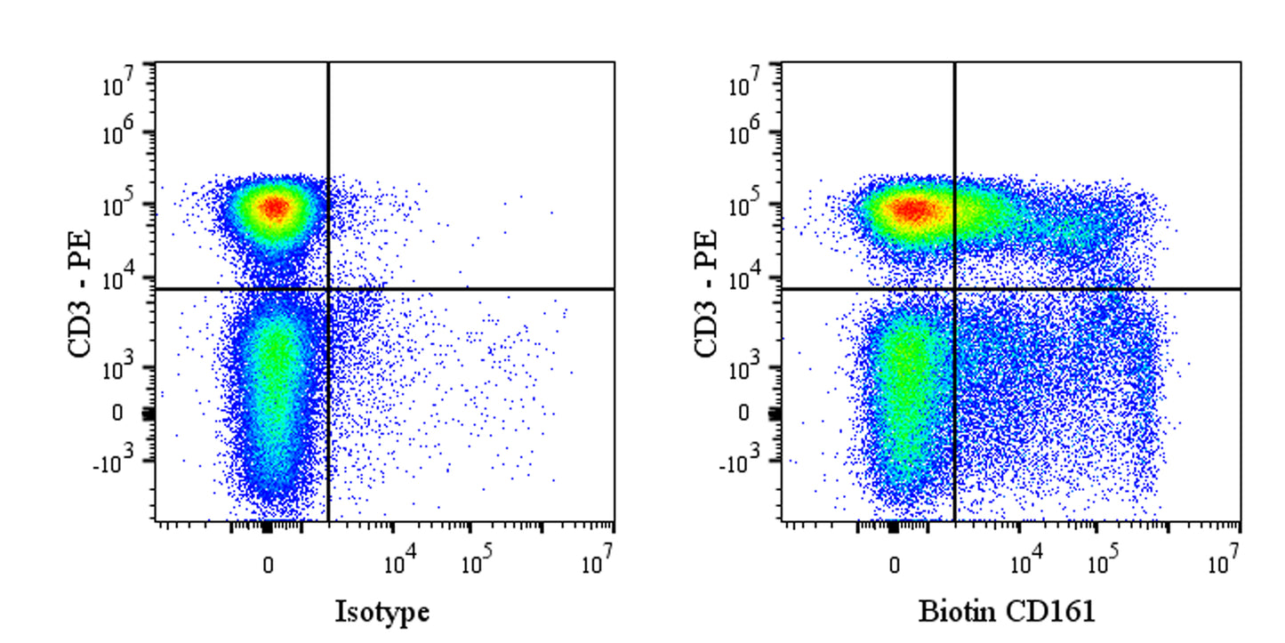 Biotin Mouse Anti-Rat CD161 Antibody (S-R628)
