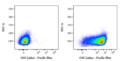 G4S Linker Recombinant Rabbit mAb (Pacific Blue Conjugate) (S-5030)