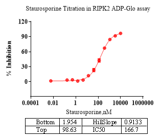 RIPK2 Protein