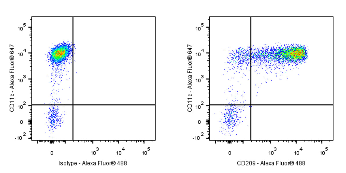 Alexa Fluor® 488 Mouse Anti-Human CD209 Antibody (S-2881)