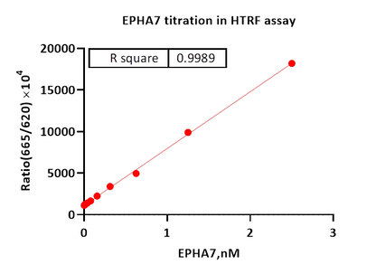 EPHA7 Protein