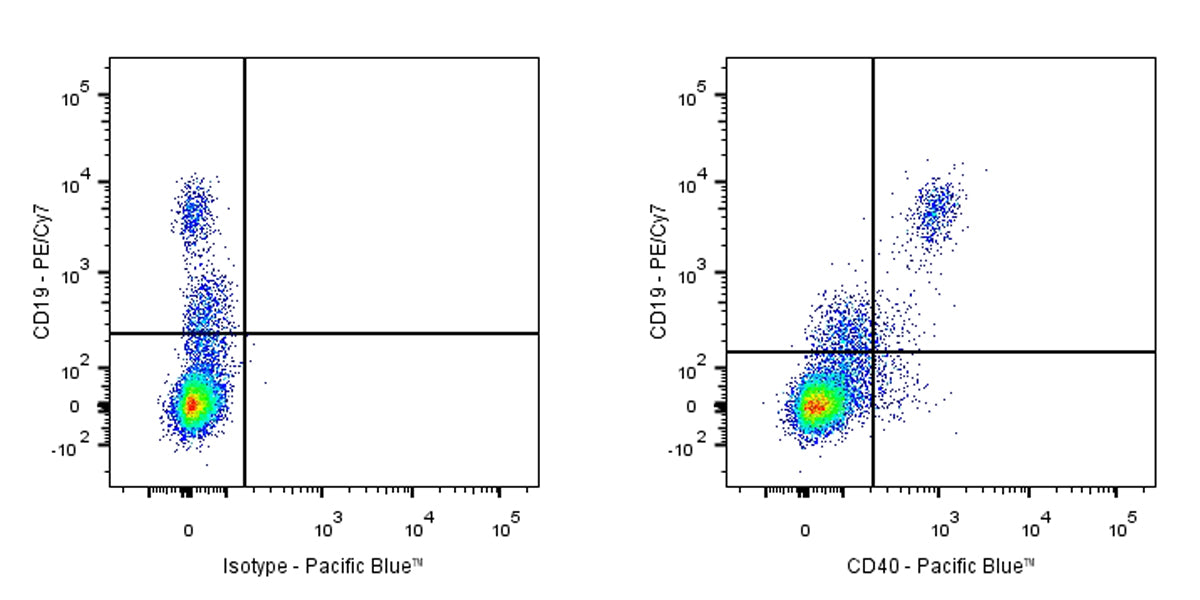 Pacific Blue Mouse Anti-Human CD40 Antibody (HI40a)