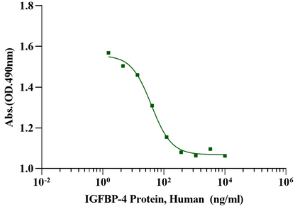 IGFBP-4 Protein, Human