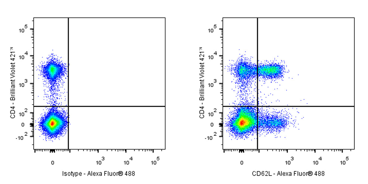 Alexa Fluor® 488 Rat Anti-Mouse CD62L Antibody (MEL-14)