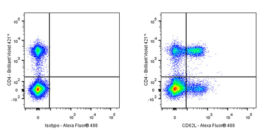 Alexa Fluor® 488 Rat Anti-Mouse CD62L Antibody (MEL-14)