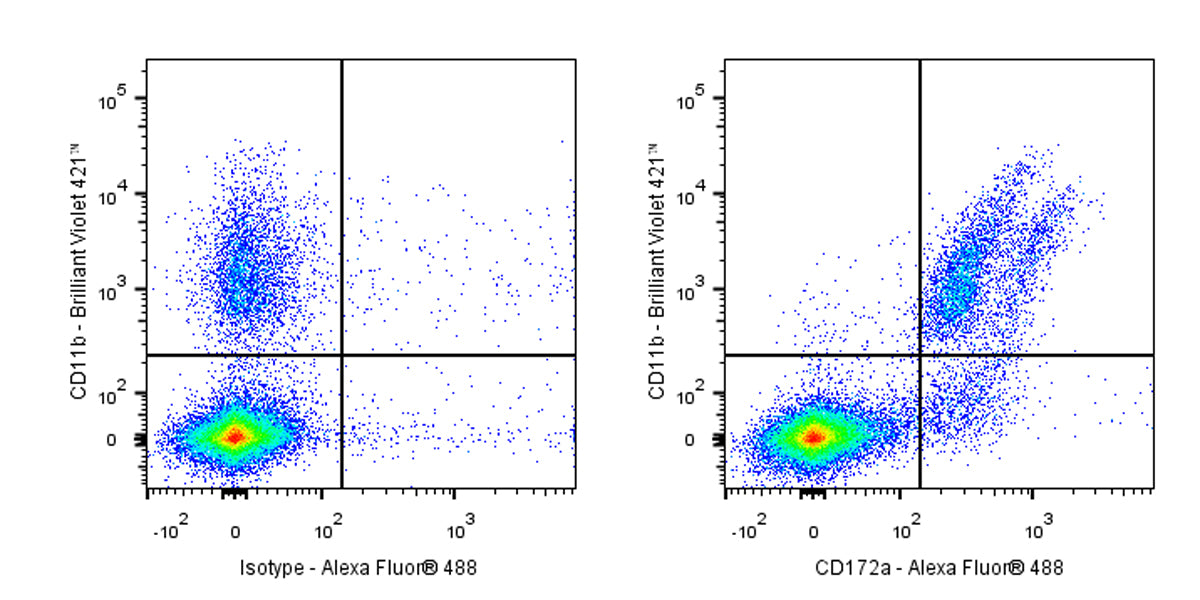 Alexa Fluor® 488 Rat Anti-Mouse CD172a (SIRPα) Antibody (S-R713)